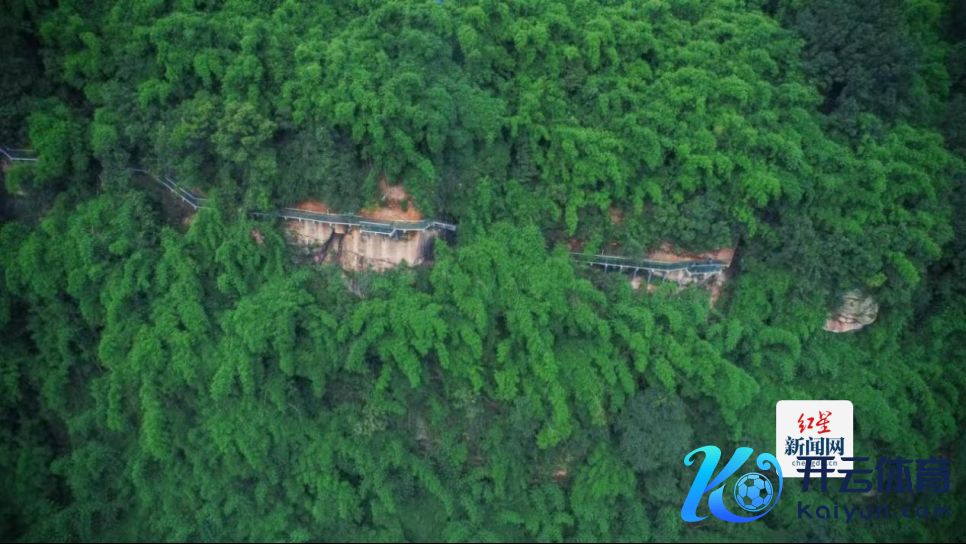 2024川西竹海亲子定向赛开赛 多种新奇乐玩徒步吸氧赢大奖685