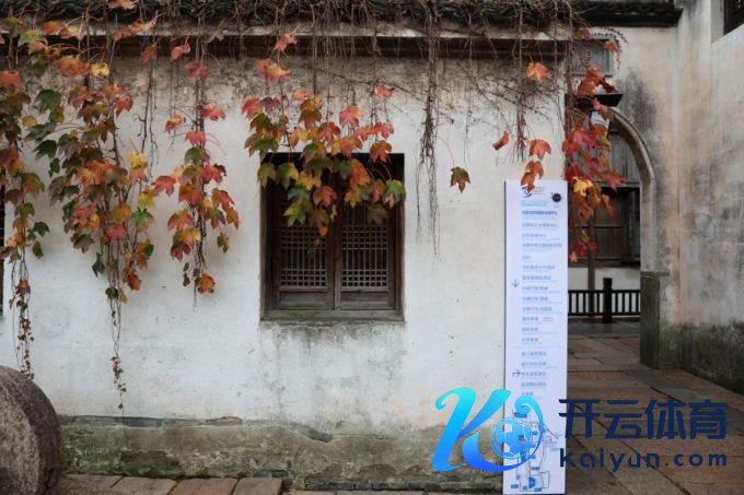 【乌镇视窗】“乌镇时辰”开启,乌镇景区氛围值拉满 【乌镇视窗】“乌镇时辰”开启,乌镇景区氛围值拉满