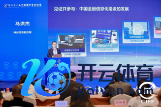 图：神州信息副总裁马洪杰