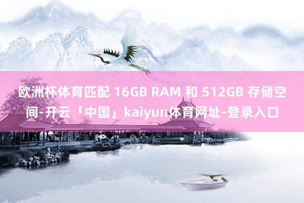 欧洲杯体育匹配 16GB RAM 和 512GB 存储空间-开云「中国」kaiyun体育网址-登录入口