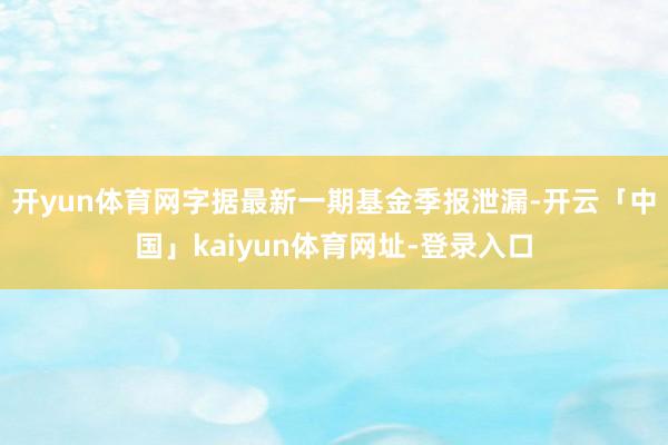 开yun体育网字据最新一期基金季报泄漏-开云「中国」kaiyun体育网址-登录入口