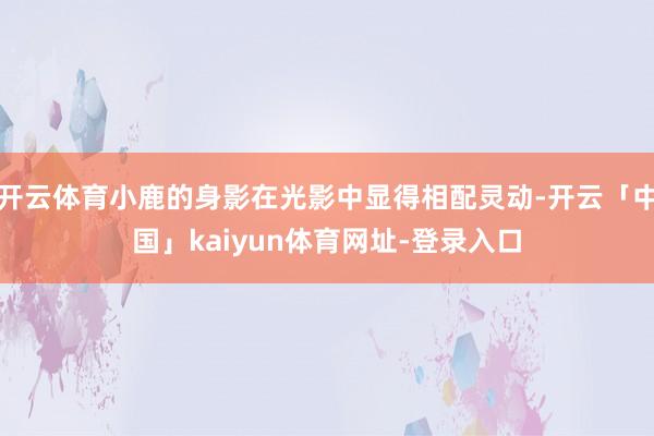 开云体育小鹿的身影在光影中显得相配灵动-开云「中国」kaiyun体育网址-登录入口