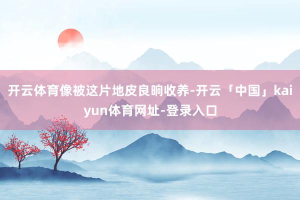 开云体育像被这片地皮良晌收养-开云「中国」kaiyun体育网址-登录入口