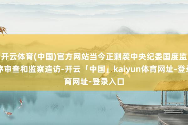 开云体育(中国)官方网站当今正剿袭中央纪委国度监委顺序审查和监察造访-开云「中国」kaiyun体育网址-登录入口