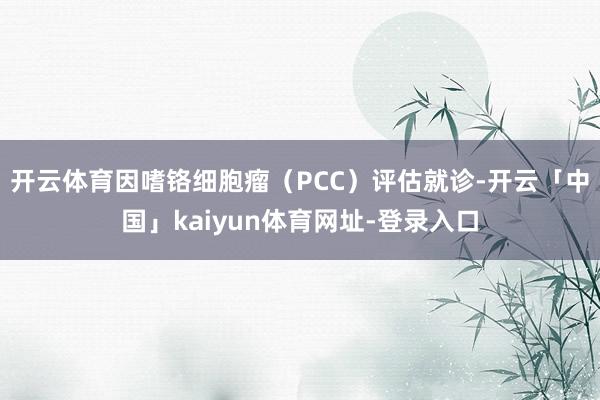 开云体育因嗜铬细胞瘤（PCC）评估就诊-开云「中国」kaiyun体育网址-登录入口